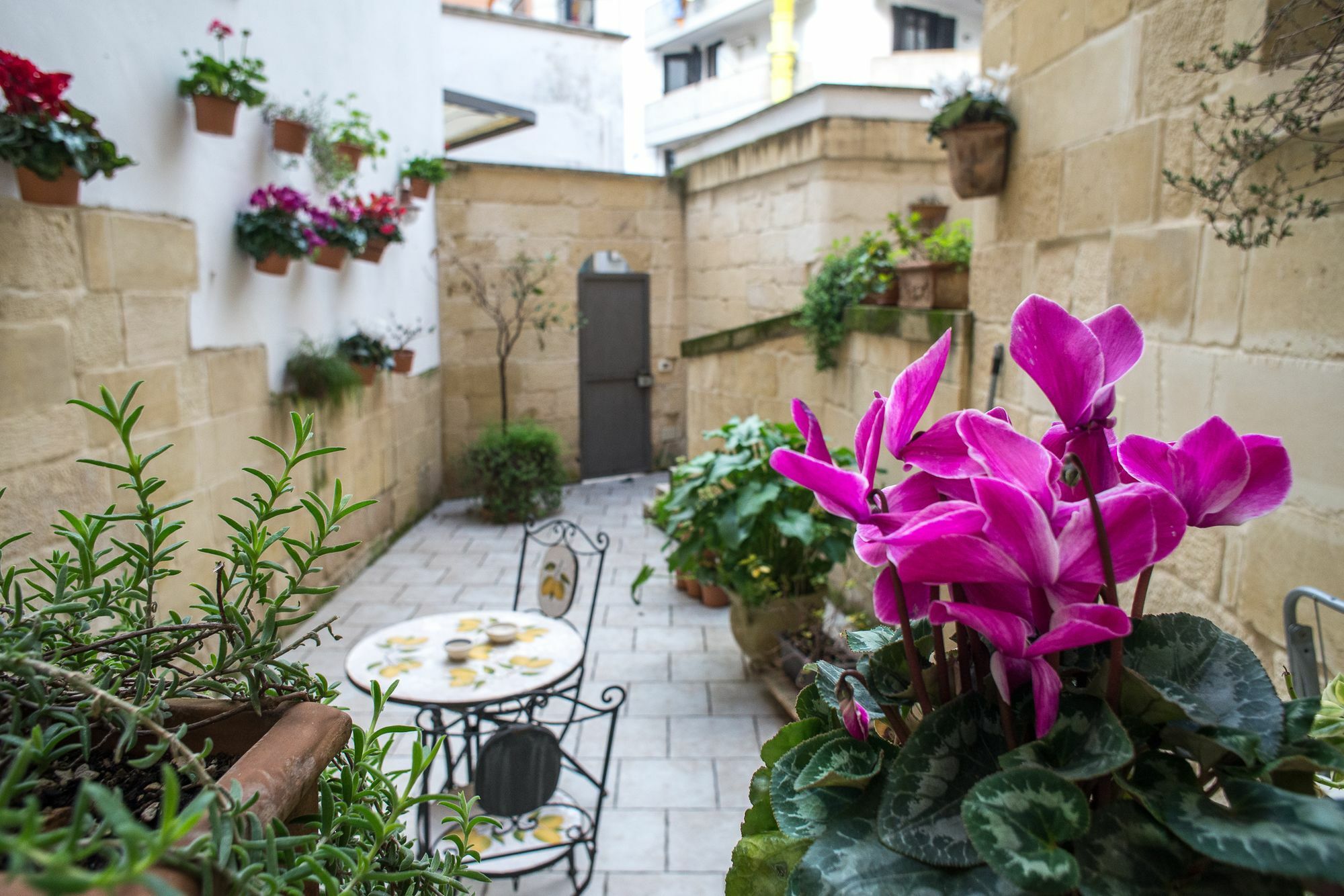 19Venti Bed & Breakfast Lecce Exterior photo